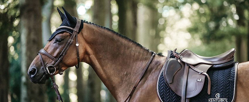 Kentucky | Decken Sommer Kentucky | Decken Sommer