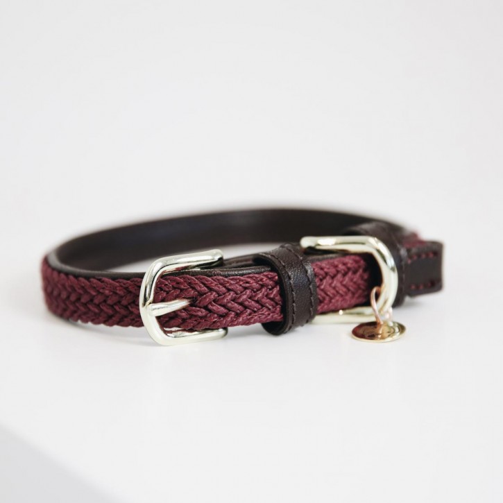 Kentucky Hundehalsband Nylon bordeaux