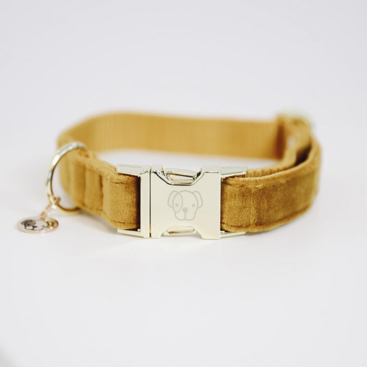 Kentucky Hundehalsband Velvet senfgelb
