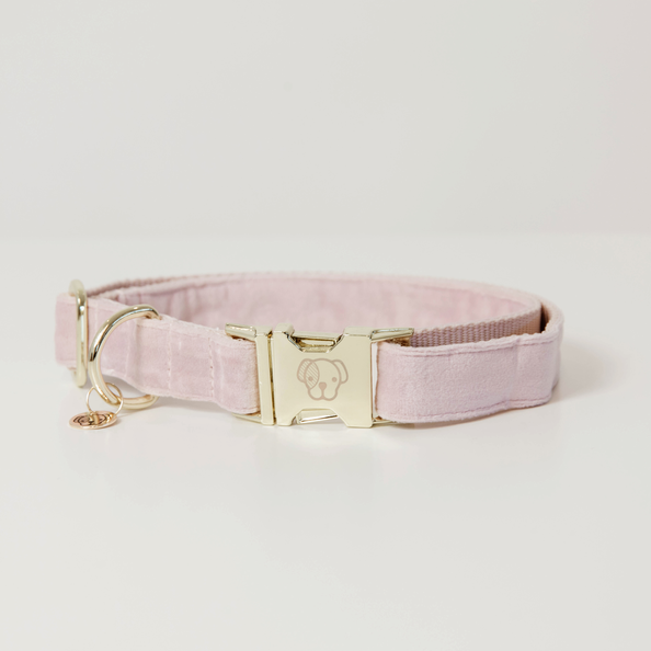 Kentucky Hundehalsband Velvet Hellrosa