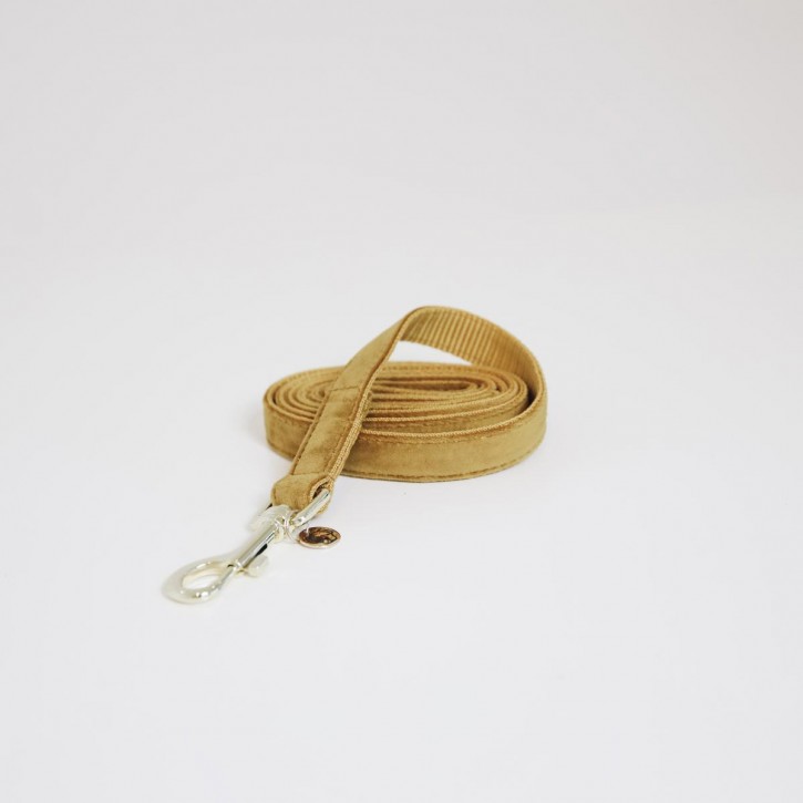 Kentucky Hundeleine Velvet senfgelb 120cm