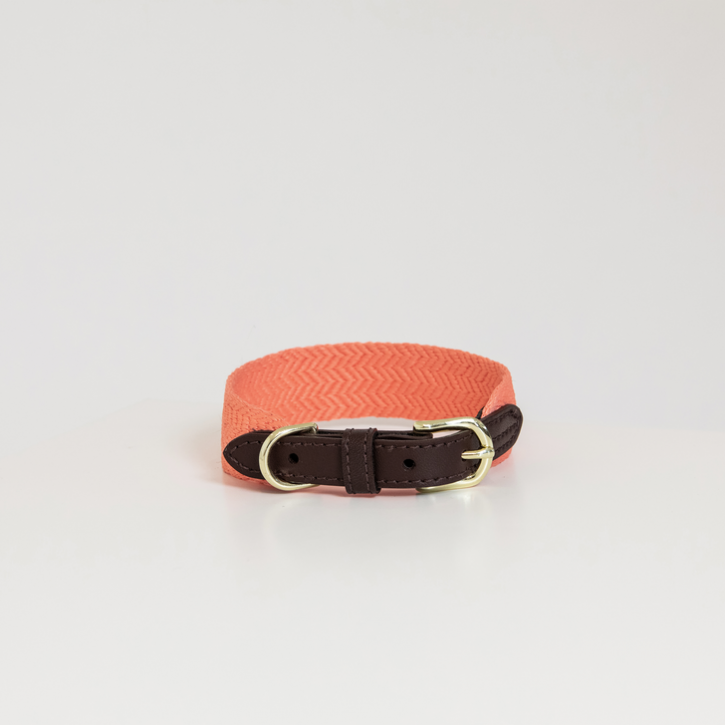 Kentucky Hundehalsband Jacquard neonorange