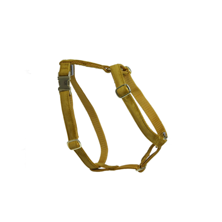 Kentucky Hundegeschirr Loop Velvet senfgelb