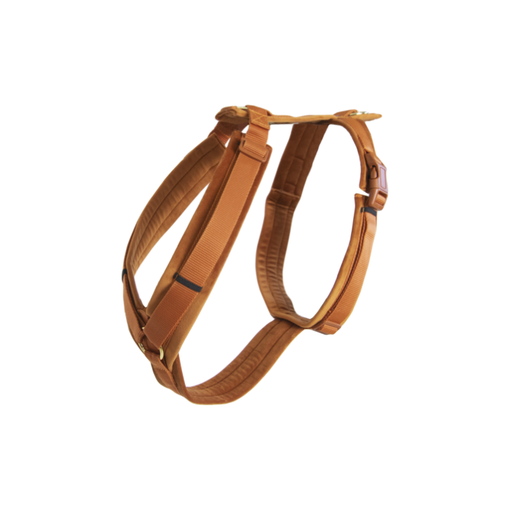 Kentucky Hundegeschirr Velvet Aktiv orange XL
