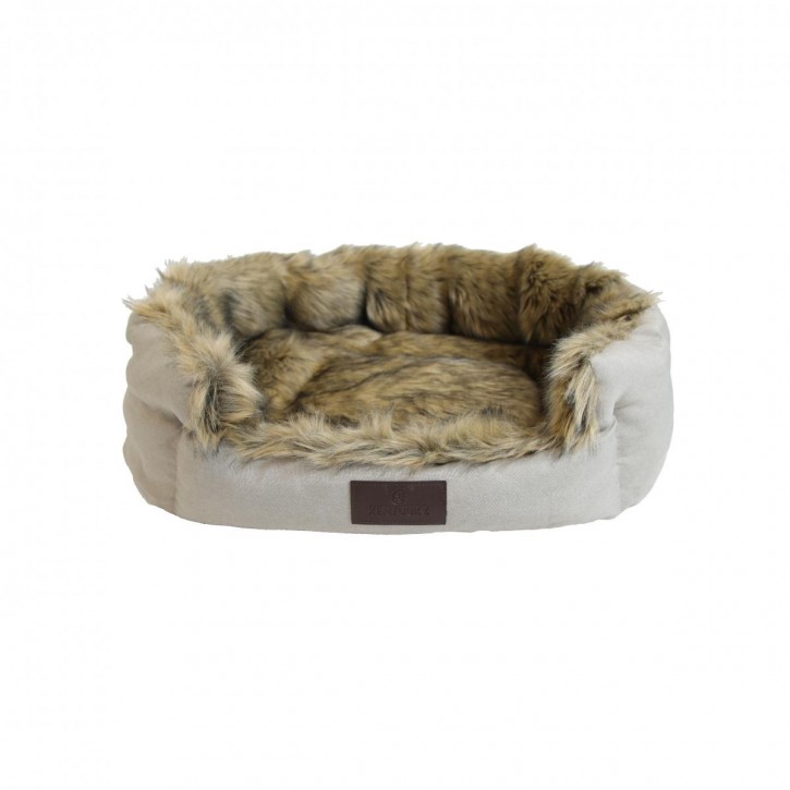 Kentucky Hundebett Cave