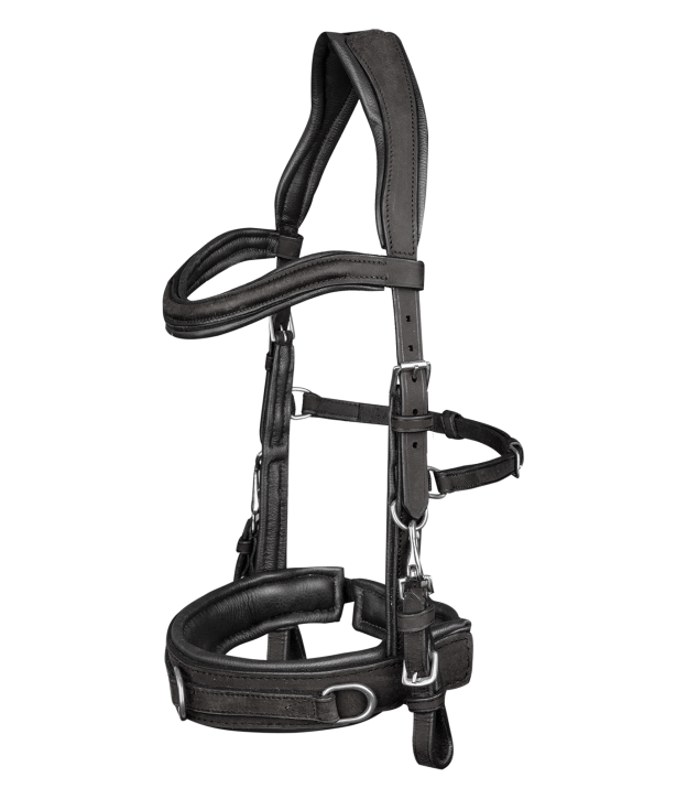 Waldhausen Leder Kappzaum Anatomic schwarz Warmblut