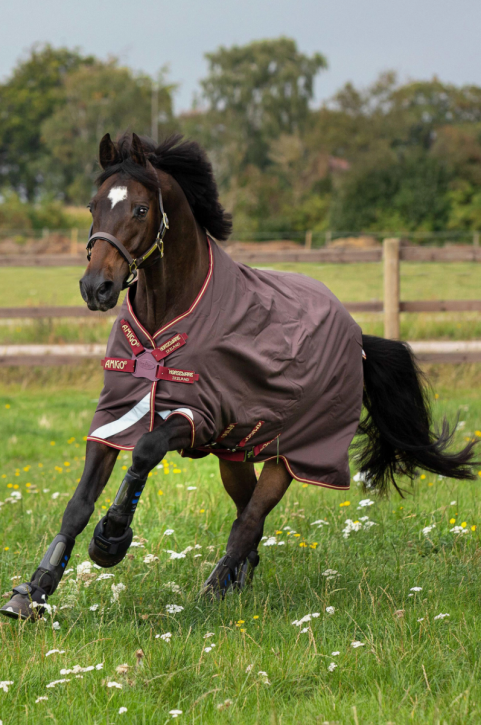 Horseware Amigo Bravo 12 Outdoor Decke Disc Lite 0g braun 145