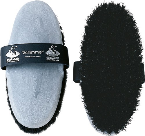 Haas Schimmel Bürste