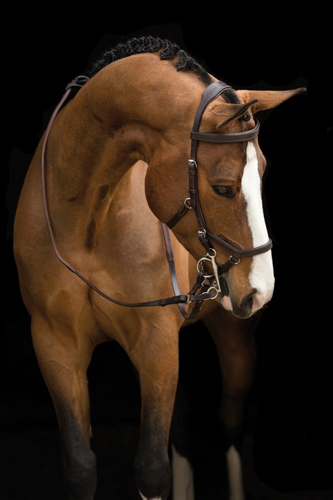Horseware Micklem Competition Bridle Havanna Full