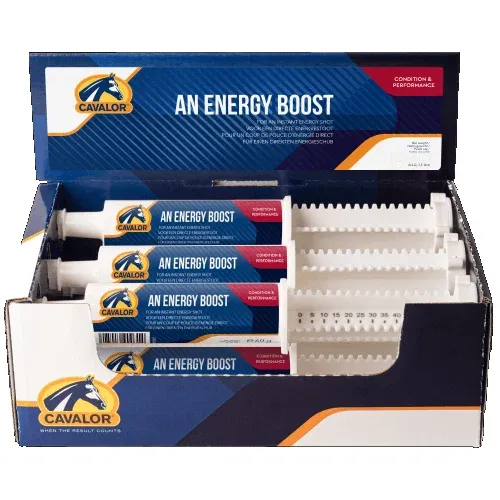 Cavalor 6er Pack An Energy Boost
