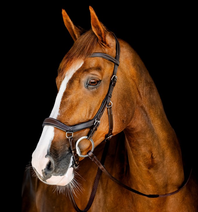 Horseware Micklem Competition Bridle Dark Havana Full