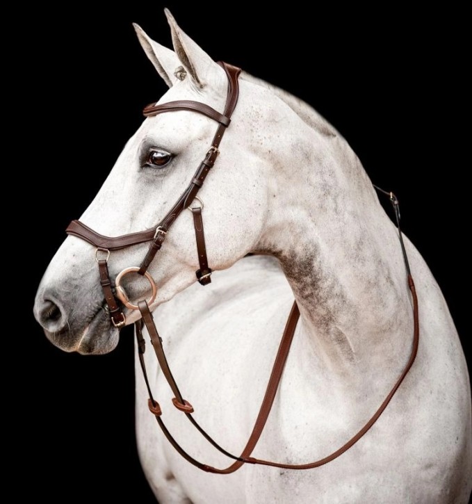 Horseware Micklem 2 Competition Bridle m. Zügel braun Full