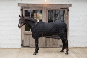Kentucky Leichte Mesh Fliegendecke schwarz