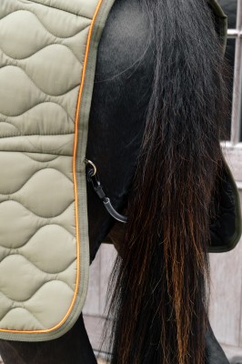 Stalldecke von Kentucky - Modell Wave mit 160g Grün