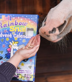 Likit Snaks Adventskalender