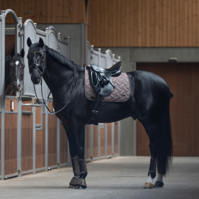 Kingsland Dressurschabracke KLLexie Graubraun