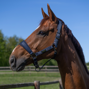 Kingsland Hufglocken KLLexie Weiß COB