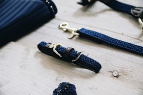 Kentucky Hundehalsband Nylon blau