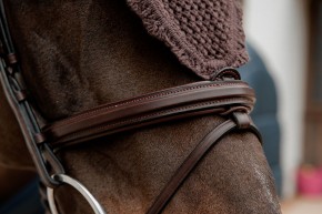 Kentucky lange Fliegenohren braun