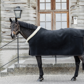 Kentucky Abschwitzdecke Heavy Fleece Show schwarz