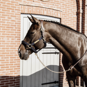 Kentucky Leder Führleine schwarz