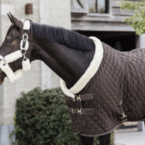 Kentucky Turnierdecke Show Rug Braun