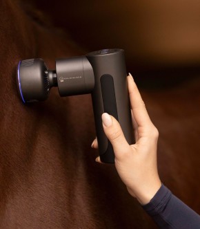 Waldhausen Health+Care Massagegerät Pro Hot & Cold