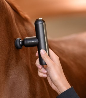 Waldhausen Health+Care Massagegerät PocketRelax