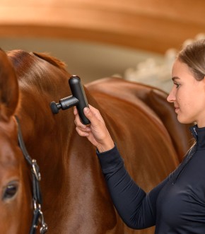 Waldhausen Health+Care Massagegerät PocketRelax