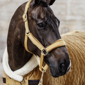 Kentucky Halfter Velvet Senfgelb