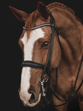 Equiline rundgenähte Kandare schwarz