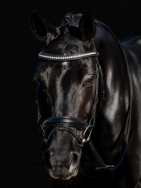 Equiline schwedische Trense schwarz