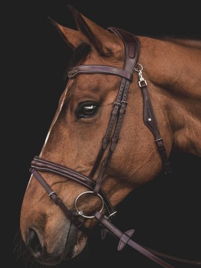 Equiline anatomische Trense mit Kontrastnähten braun