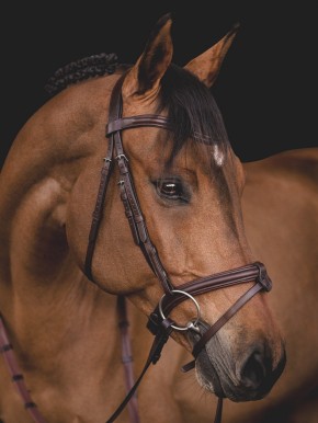 Equiline Trense mit abnehmbarer Sperrriemenschlaufe schwarz