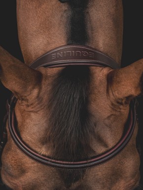 Equiline Trense mit abnehmbarer Sperrriemenschlaufe schwarz
