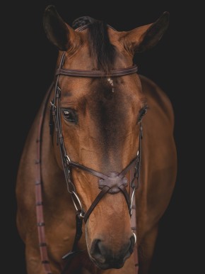Equiline mexikanische Trense braun