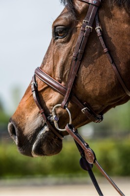 Trust Calgary Trense braun mit silber