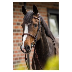 Trust Geneva Trense braun mit silber