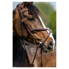 Trust Oslo mexikanische Trense braun mit gold