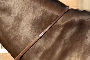 Trust Arezzo Gummizügel mit Noppen braun mit silber