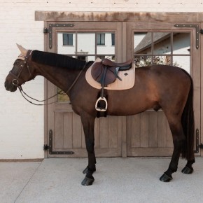 Kentucky Spring Schabracke VELVET Mini Pearls Beige