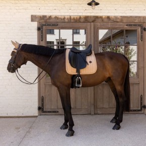 Kentucky Dressur Schabracke VELVET Mini Pearls Beige