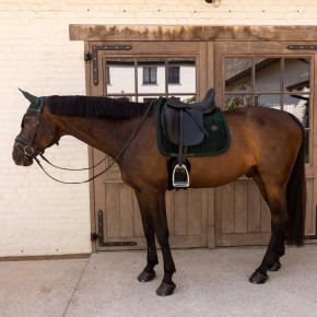 Kentucky Dressur Schabracke VELVET Mini Pearls Dunkelgrün