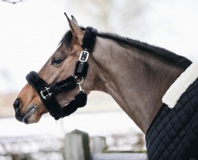 Kentucky Transport Halfter schwarz Pony