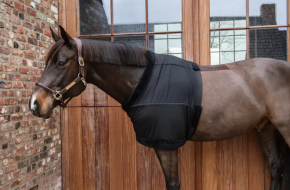 Kentucky Horseware Brustschutz schwarz EXTRA LARGE