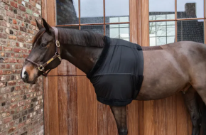 Kentucky Horseware Brustschutz schwarz MEDIUM