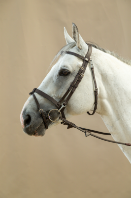 Dyon Trense aus Flachleder mit Karabiner WOJOGJ schwarz