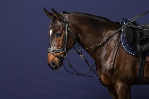 Dyon Gogue Gummizügel WO05U 13 mm schwarz