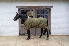 Stalldecke von Kentucky - Modell Wave mit 160g Grün