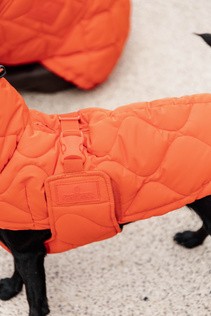 Kentucky Hundemantel Winter Pina orange XXXL